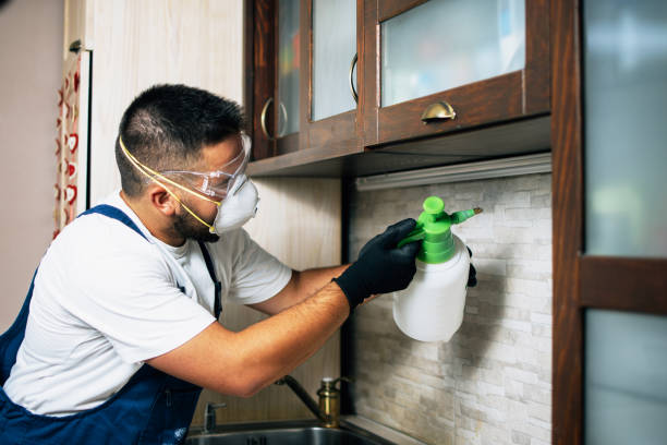 Wildlife Control Services in Windber, PA