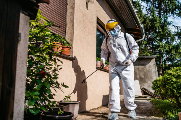 Best Wasp Removal Services  in Windber, PA