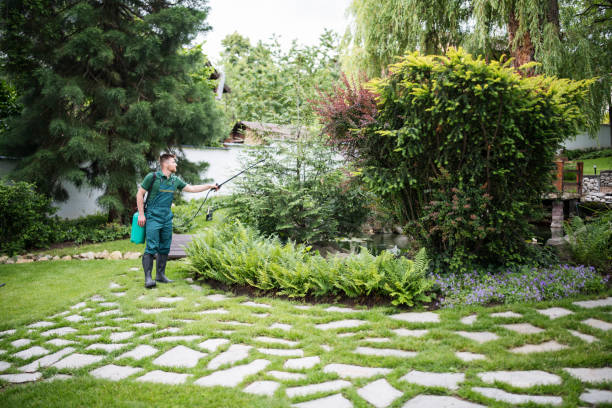 Best Wildlife Control Services  in Windber, PA