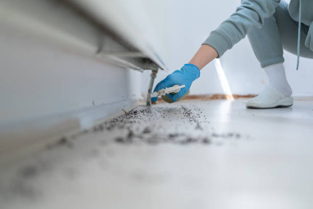Best Residential Pest Control  in Windber, PA