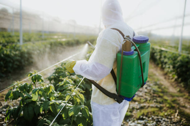 Best Flea Control Services  in Windber, PA